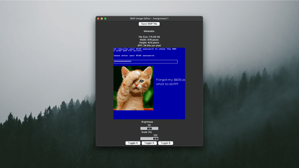 Screenshot of BMP File Parser